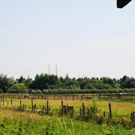Ruime Romantische Blokhut Zwaanshoek Exterior foto