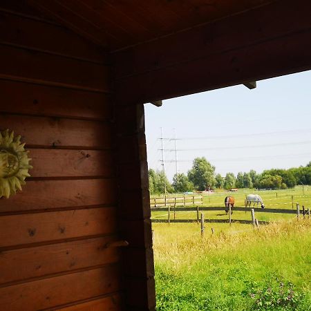 Ruime Romantische Blokhut Zwaanshoek Exterior foto
