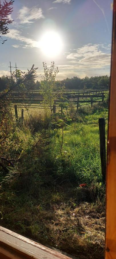 Ruime Romantische Blokhut Zwaanshoek Exterior foto